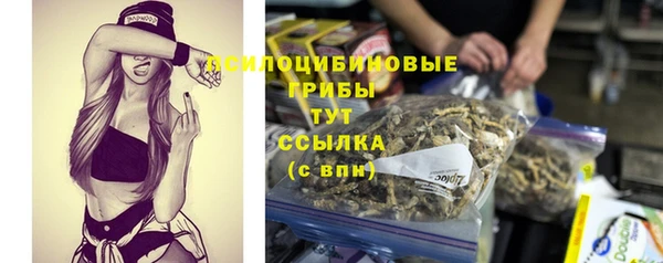 мяу мяу мука Алексин