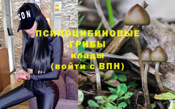 гидропоника Абаза