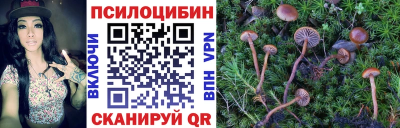 Псилоцибиновые грибы Magic Shrooms  Волоколамск 